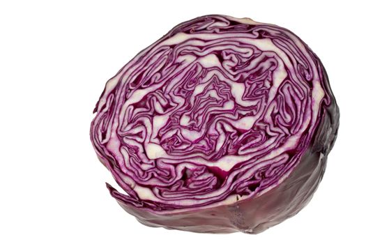 single red cabbage isolated on white background