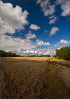 Clouds and Land;