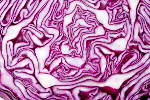 detail of slice of a red cabbage