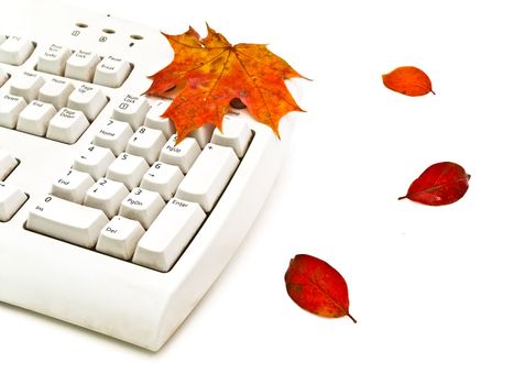  Photo of the keyboard whith  bright autumn leaves