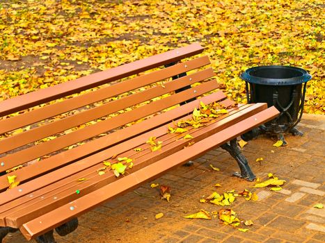 Brown bench and urn against yellow maple leaves