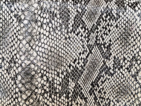 black and white background in snake pattern style