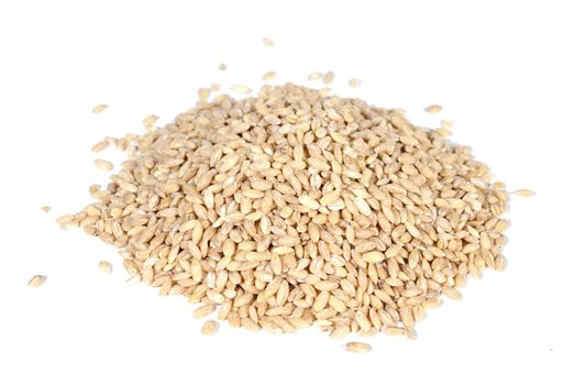 pouerd wheat