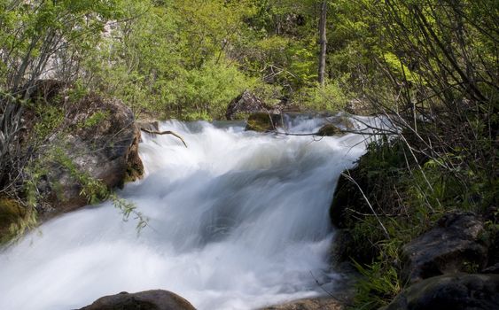 Waterfall in the forest