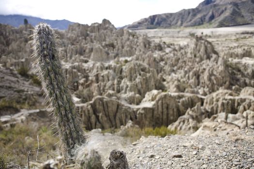 The Valle de la Luna (Valley of the Moon) is a bizarre, almost lunar landscape formed by the erosion of salt mountains. 