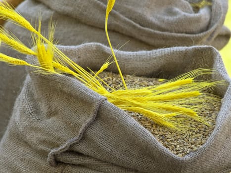 sacks of grain with yellow head on it