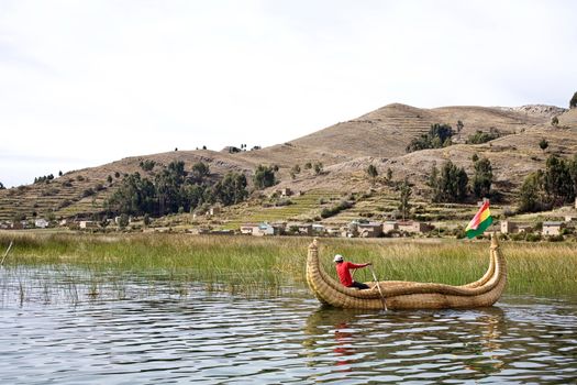 The Uros, an indigenous people predating the Incas, live on Lake Titicaca upon floating islands fashioned from this plant. The Uros also use the Totora plant to make boats (balsas) of the bundled dried plant reeds.