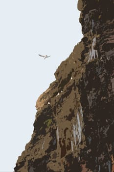 seagull at ballybunion cliffs on the west coast of ireland