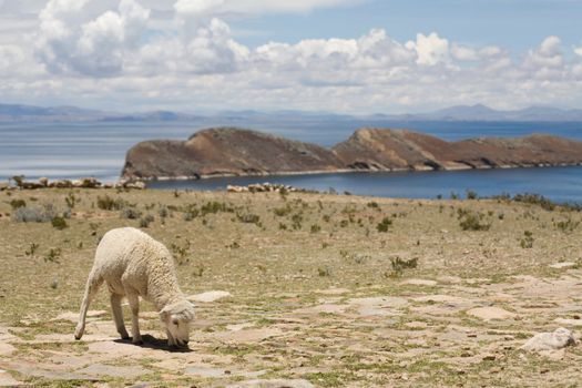 Situated on the Bolivian side of the lake with regular boat links to the Bolivian town of Copacabana, Isla del Sol ("Island of the sun") is one of the lake's largest islands.