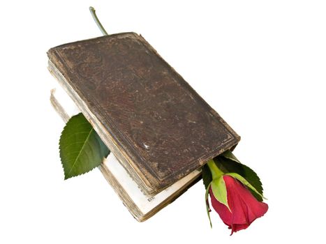 Isolated book with red rose against the white background