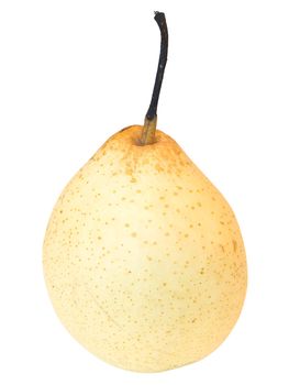 Single isolated pear against the white background