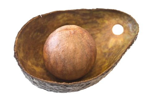 Isolated empty avocado against the white background