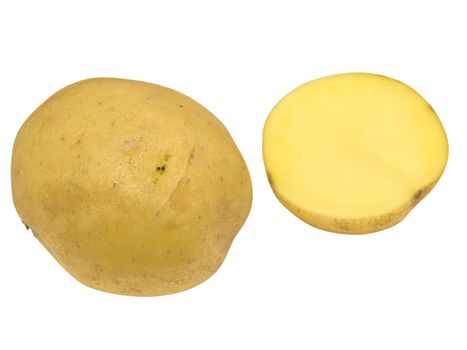 Isolated potatoes against the white background