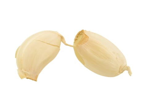 Isolated cloves garlic against the white background