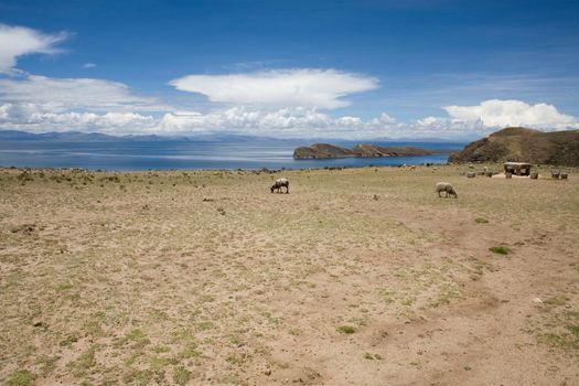 Situated on the Bolivian side of the lake with regular boat links to the Bolivian town of Copacabana, Isla del Sol ("Island of the sun") is one of the lake's largest islands.