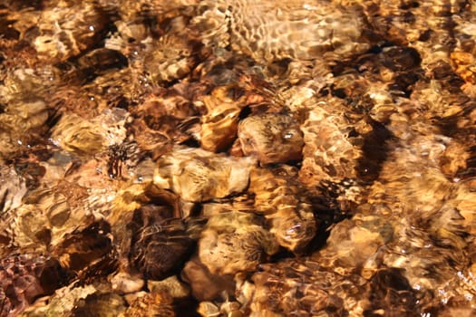 A creek riffle in northern Illinois.