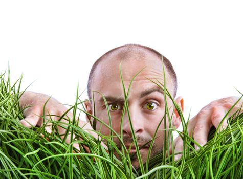 Man peering through tall grass with white background