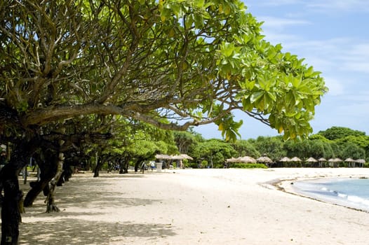 Indonesia, Bali Island, holiday resort in NusaDua. Beautiful beach with green palms and blue ocean water.