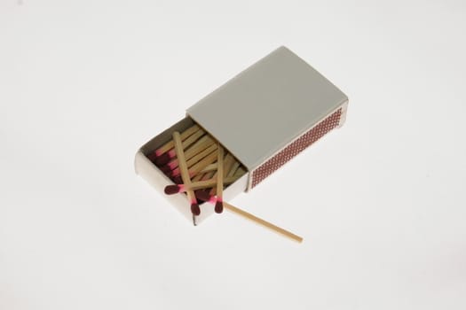 small white box with snappers