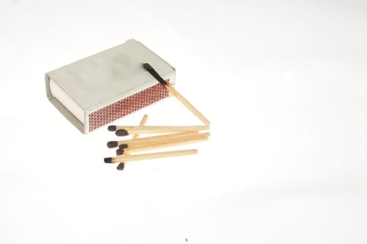 small white box with snappers