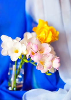sweet spring freesias in the soft focus