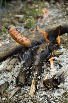 sausage skewers roasted in the coals of fire
