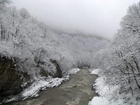 The river White; rocks; a relief; a landscape