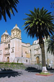 Cathedral with palms in Oaxaca city in Mexico