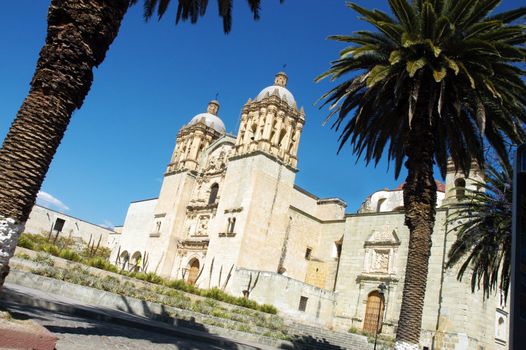 Cathedral with palms in Oaxaca city in Mexico