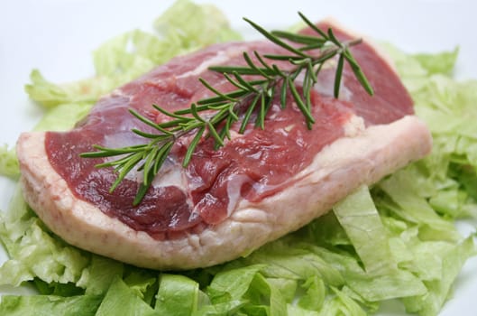 fresh  meat of a duck