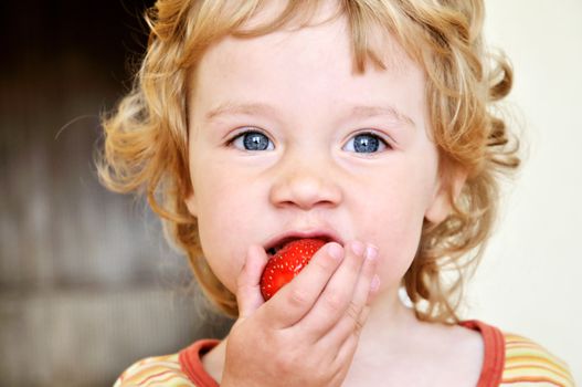 little blonde curly girl eating fresh strawberry