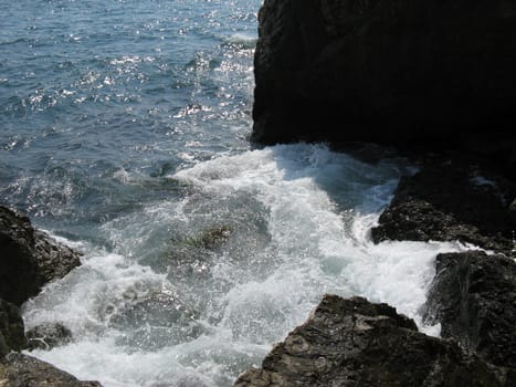 Coast of sea of Azov in Ukraine.