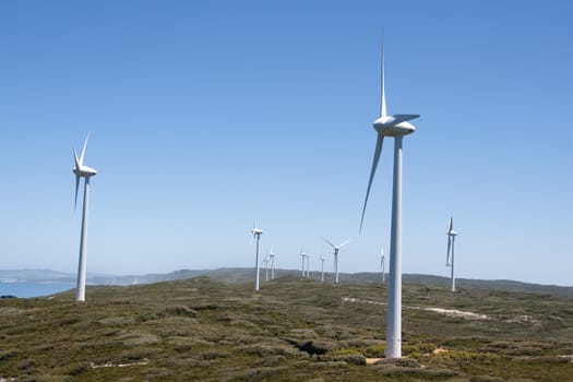 On the cliffs near the ocean exposed to a maximum of wind.