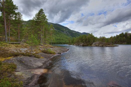 Colorful picture of a Norwegian forest, Vr�dal