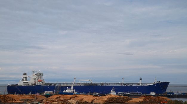 Large blue freighter ship having lumber loaded with a cloudy sky