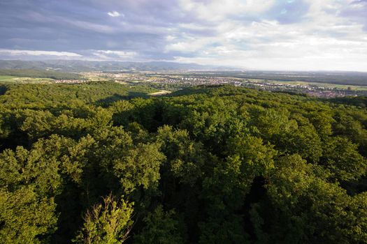 Black forrest at Germany nearly Freiburg