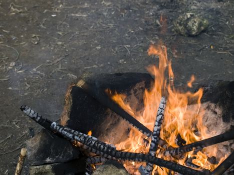 A burning bonfire excellent to portray outdoor leisure activities such as camping