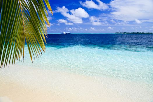 Tropical Paradise at Maldives with palms and blue sky