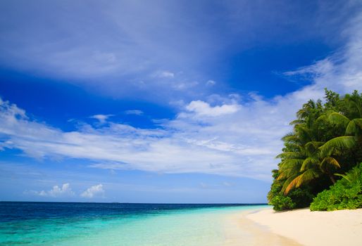 Tropical Paradise at Maldives with palms and blue sky