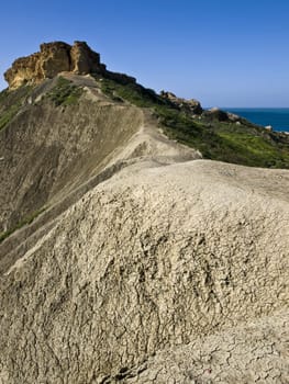 Unique and endemic flora growing on clay dunes in Malta