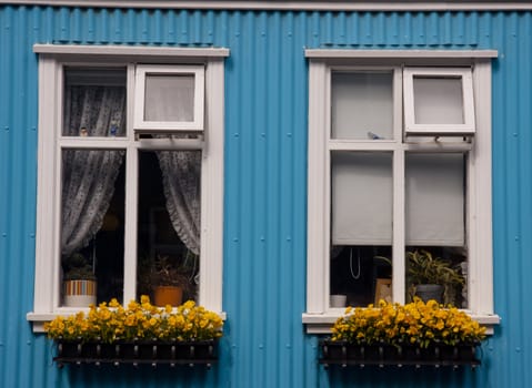 Blue wall and two windows in Reykjavik - Iceland