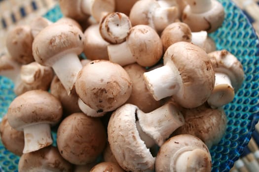 fresh mushrooms