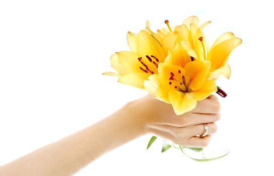 female hand holding yellow madonna lily bouquet over white