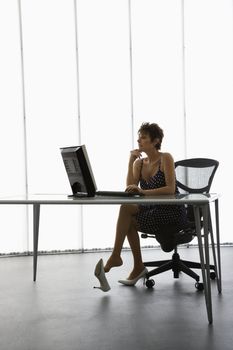 Caucasian businesswoman sitting at desk with computer in office.