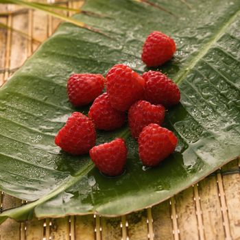 Still life of red raspberries on banana leaf.