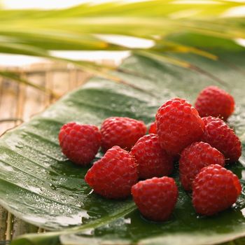 Still life of red raspberries on banana leaf.