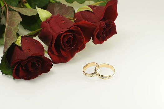 tree red roses with two wedding rings as a wedding background