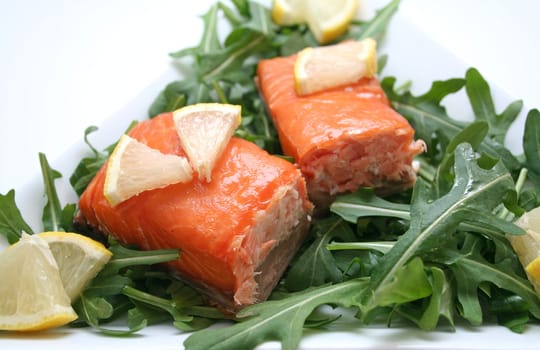 fresh salmon