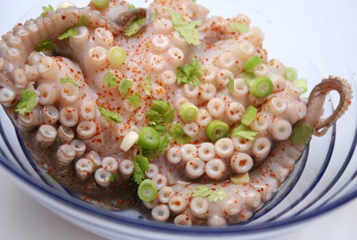 raw octopus