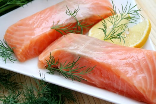 fresh salmon